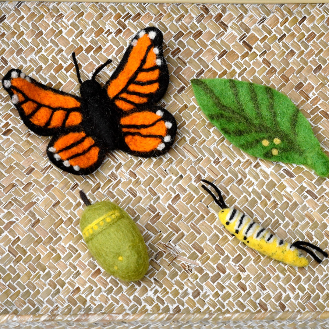 Tara Treasures - Lifecycle of Monarch Butterfly Felt Toy