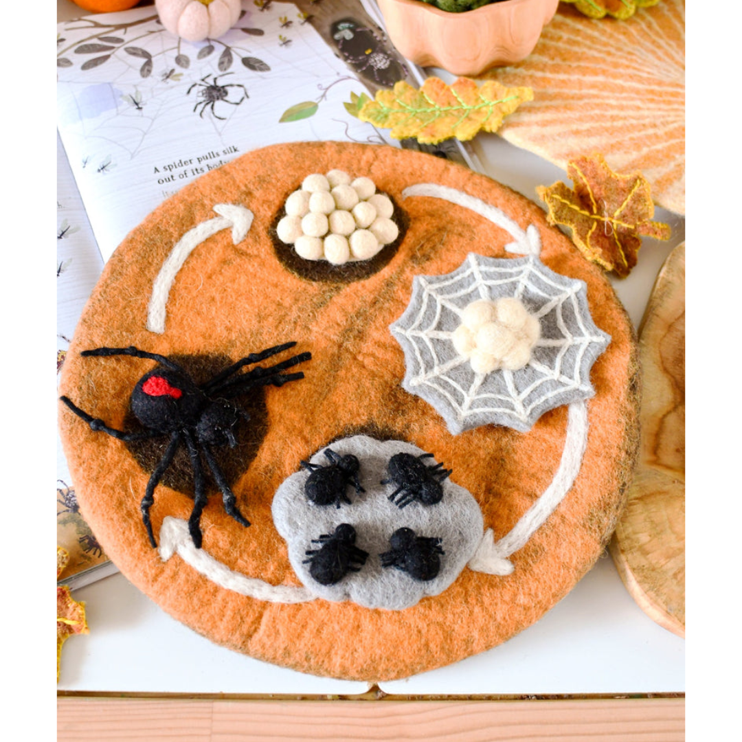 Tara Treasures - Lifecycle of Redback Spider Felt Toy