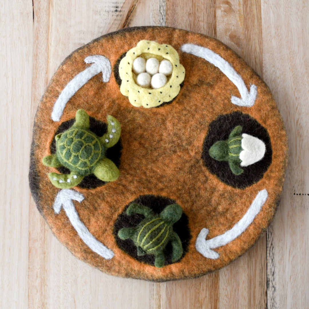 Tara Treasures - Lifecycle of a Green Sea Turtle Felt Toy