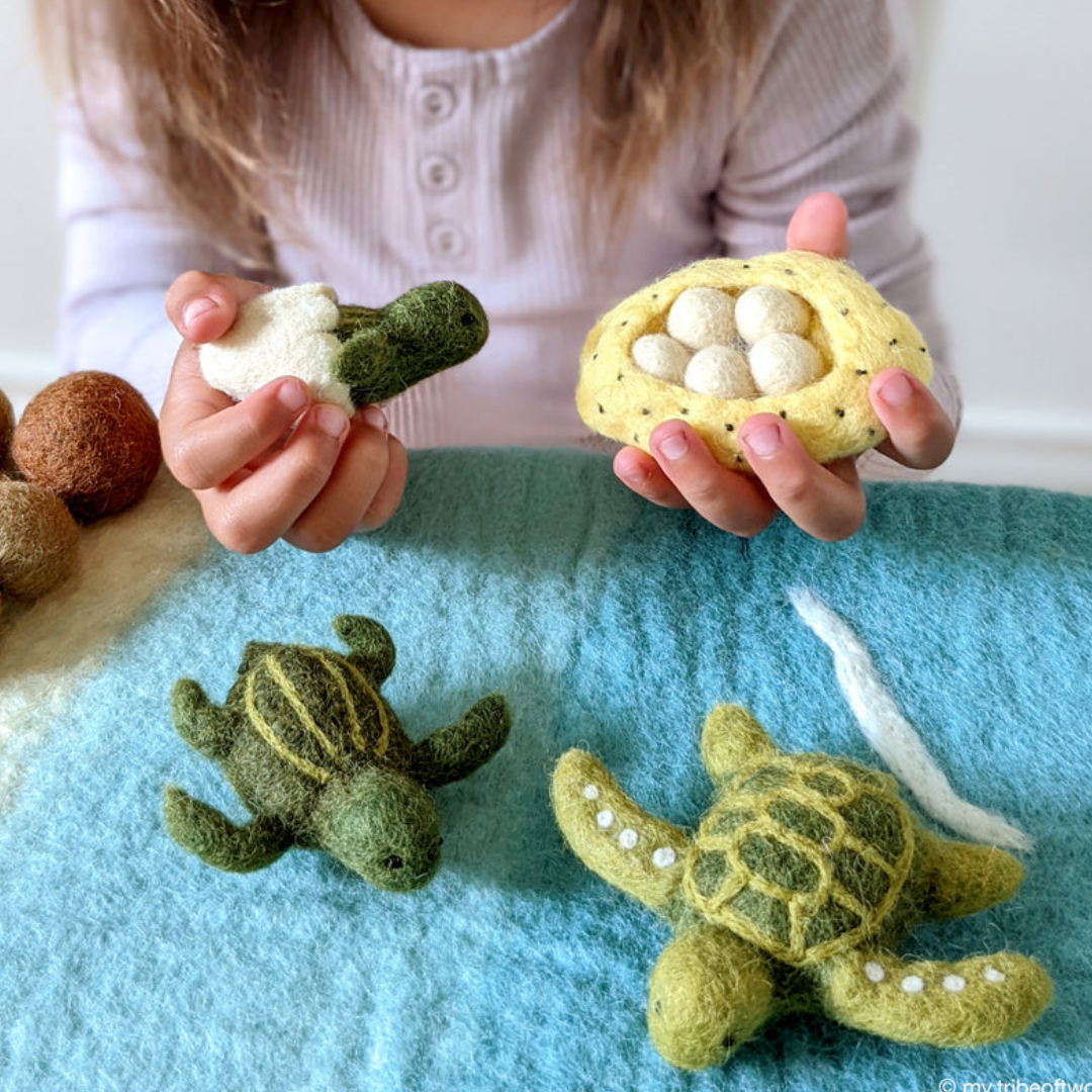 Tara Treasures - Lifecycle of a Green Sea Turtle Felt Toy