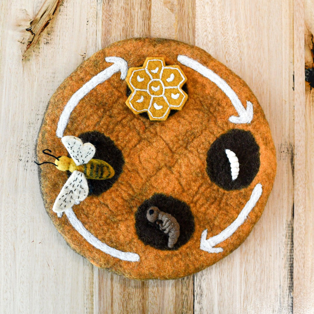 Tara Treasures - Lifecycle of a Honey Bee Felt Toys