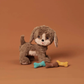 Olli Ella - Dinkum Dogs - Dog Bones | Oatmeal Multi