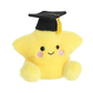 Palm Pals - Magna Graduation Star