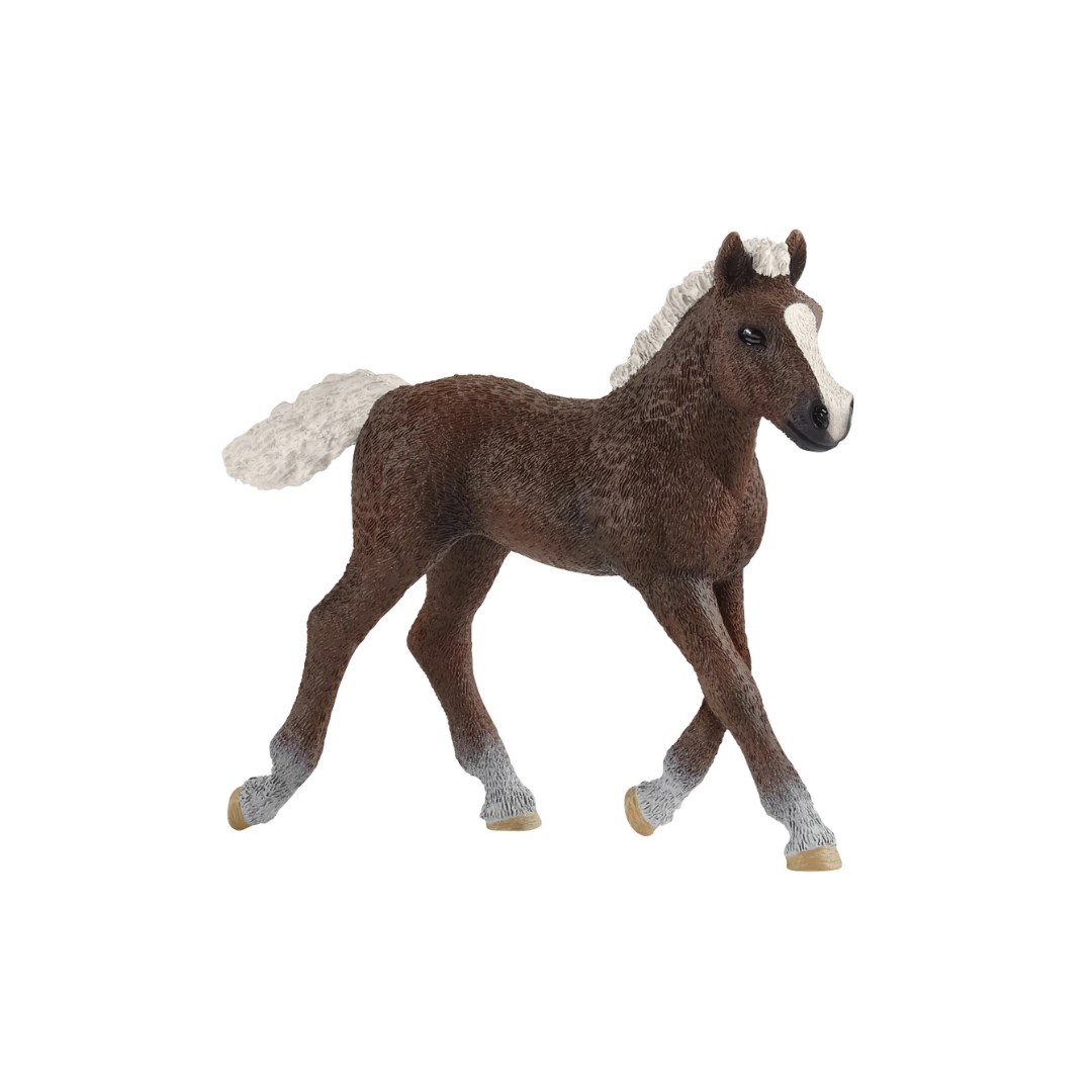 Schleich - Black Forest Foal