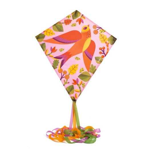 Djeco Birdy Kite