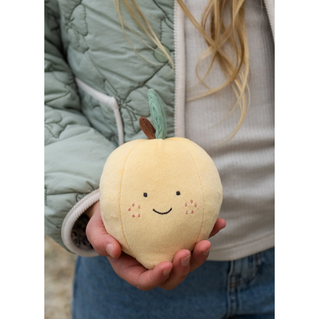 Nana Huchy - Lea Lemon | The Resilient Friend
