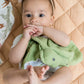 Tikiri Organic Crocodile Comforter