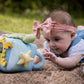 Tikiri Ocean Organic Activity Cube