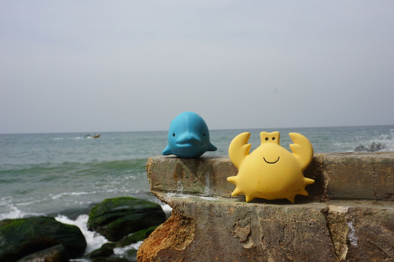 Tikiri Rubber Dolphin Ocean Buddy