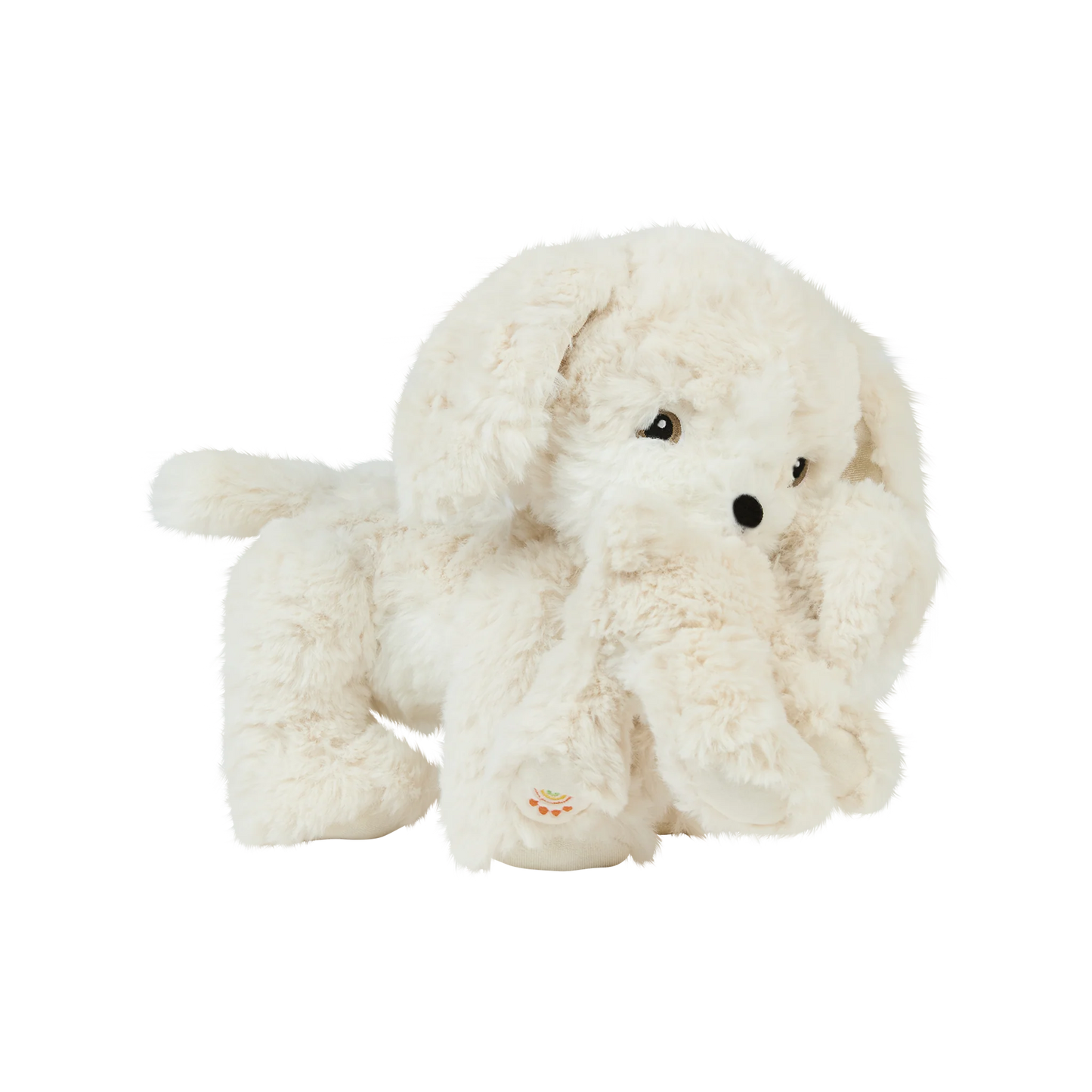 Olli Ella - Dinkum Puppy - Belle