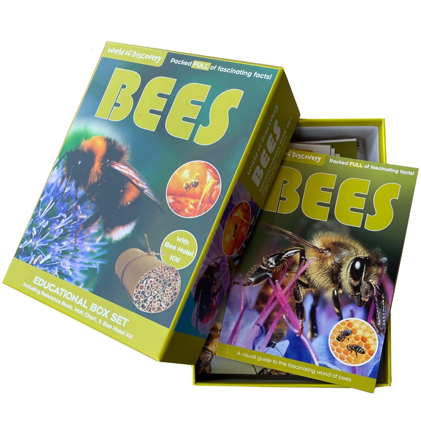 World of Discovery Bees Box 1