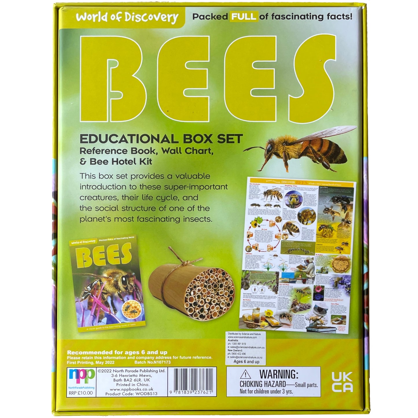 World of Discovery Bees Box 2