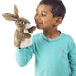 Folkmanis Little Hare Hand Puppet