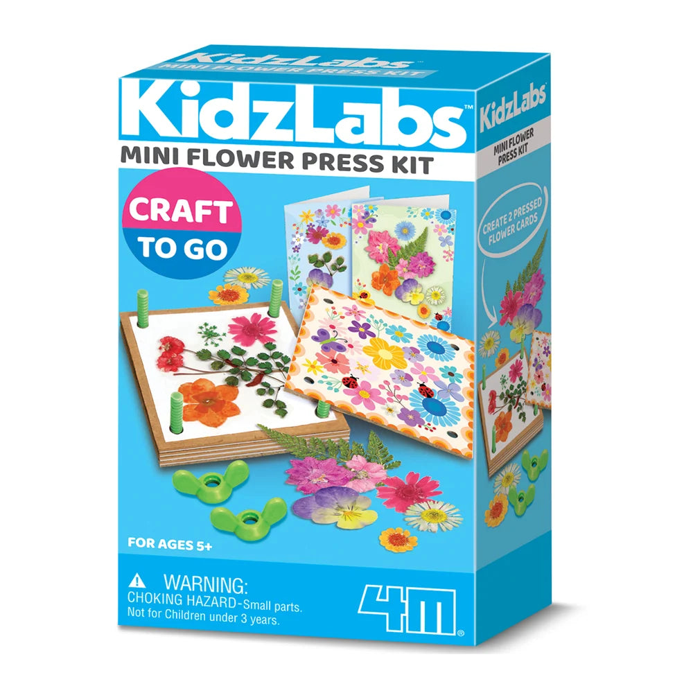 4M KidzLabs - Craft To Go (Select Craft Kit)