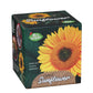 Giant Sunflower - Grow Your Own Sunflower