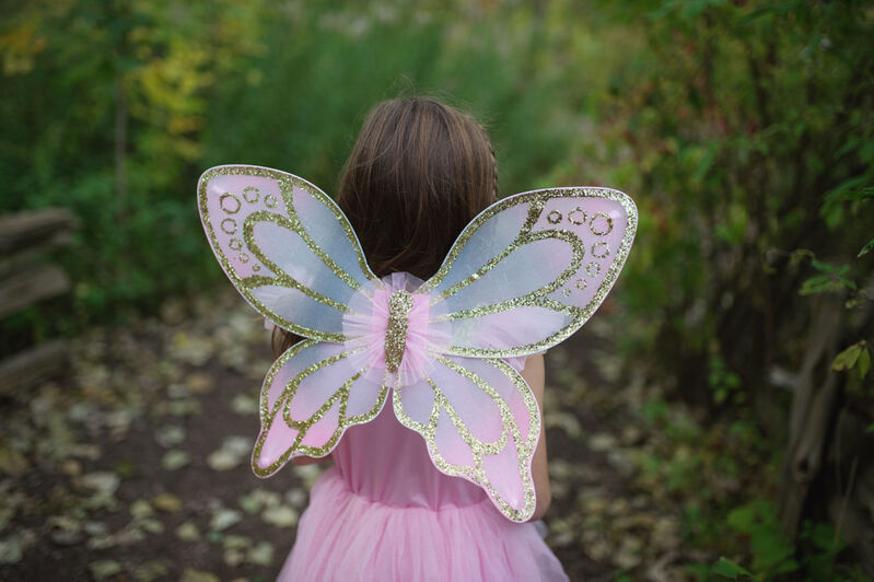 Great Pretenders - Gold Sequins Butterfly Dress & Wings