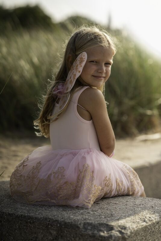 Great Pretenders - Rose Gold Tutu & Wings