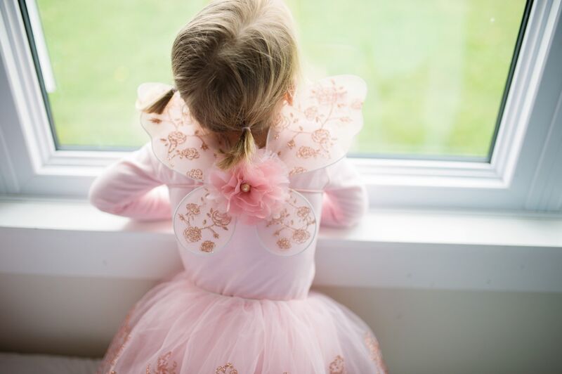 Great Pretenders - Rose Gold Tutu & Wings