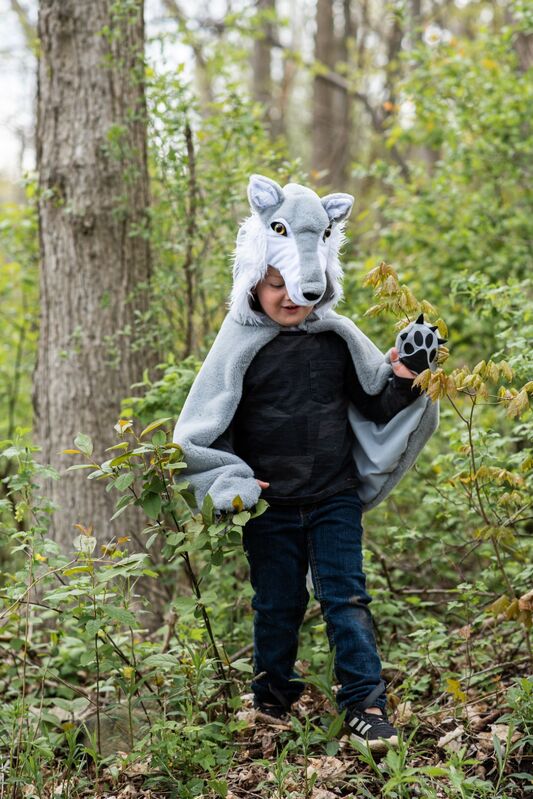 Great Pretenders - Woodland Storybook Wolf Cape