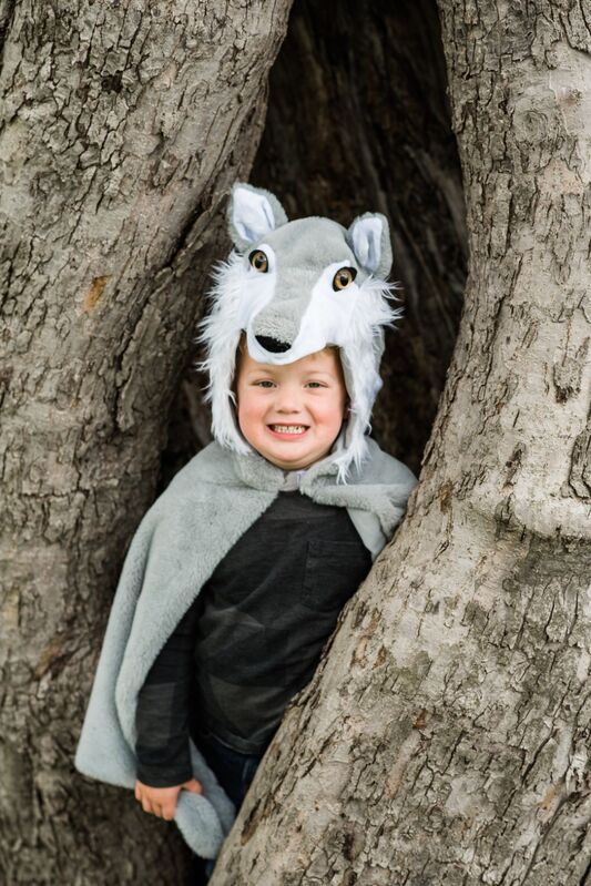 Great Pretenders - Woodland Storybook Wolf Cape