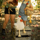 Nana Huchy - Roy the Rooster