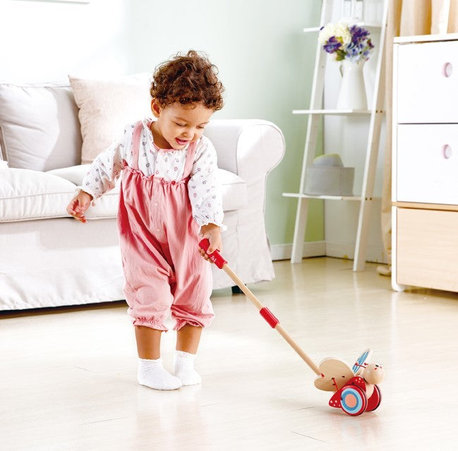 Hape Butterfly Push Along