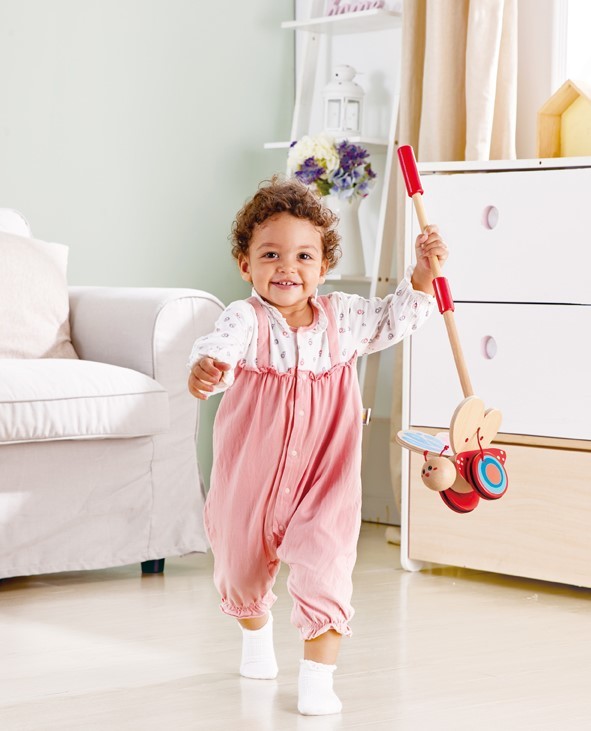 Hape Butterfly Push Along