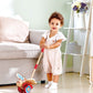 Hape Butterfly Push Along