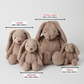 Jiggle & Giggle - Taupe Bunny Small