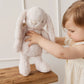Snuggle Bunnies - Fairy Penelope | Pastel (30cm)