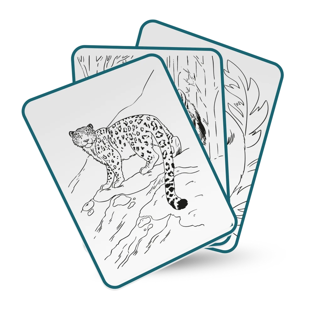 Kidywolf - Kidydraw Pad | Animals