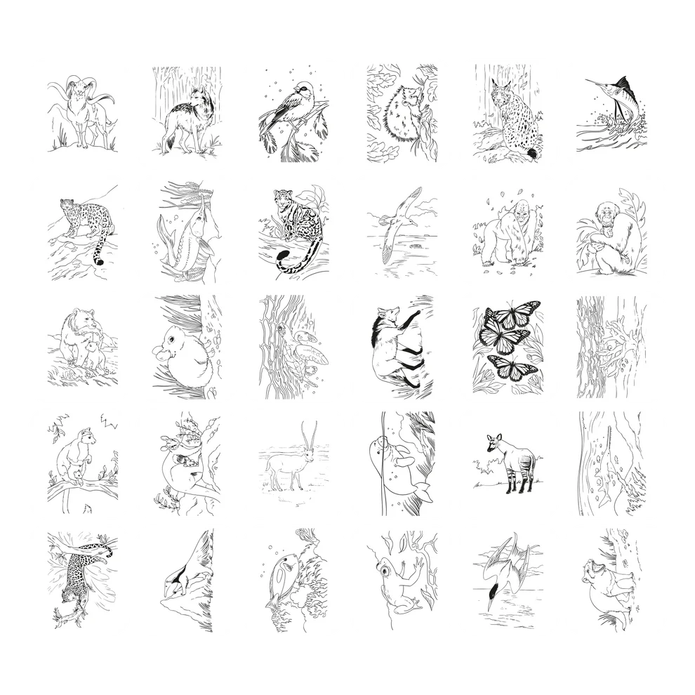 Kidywolf - Kidydraw Pad | Animals