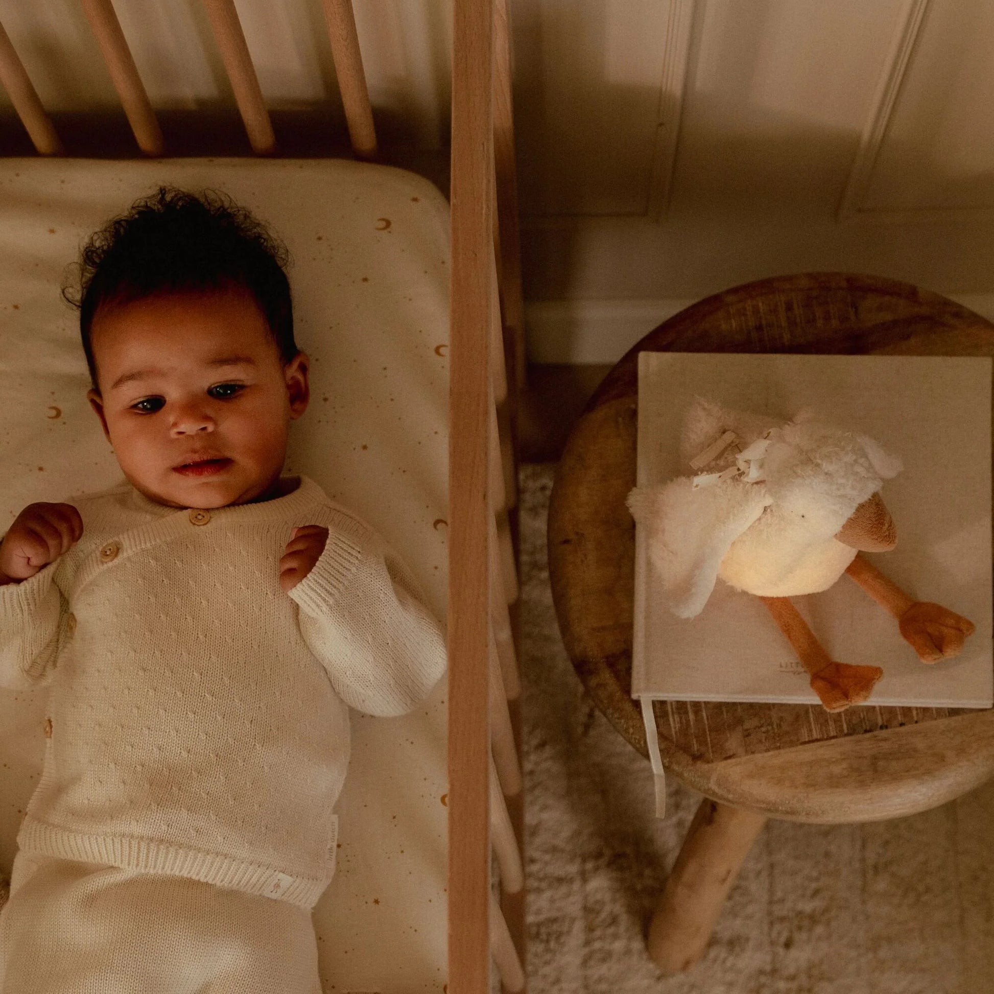 Little Dutch - Newborn Naturals | Cuddle Goose Light & Sound