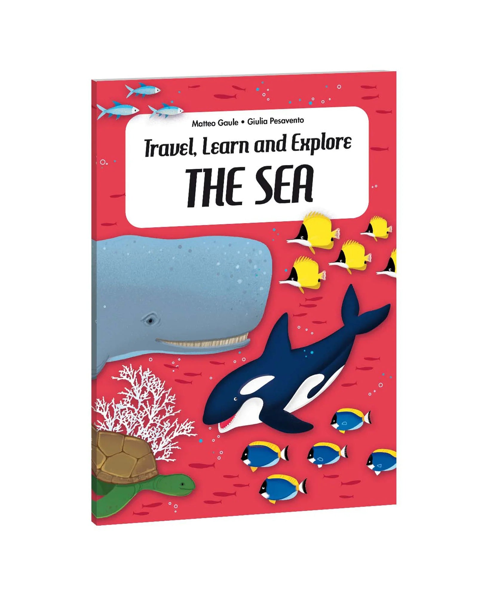 Sassi Travel, Learn and Explore - Puzzle and Book Set - The Sea
