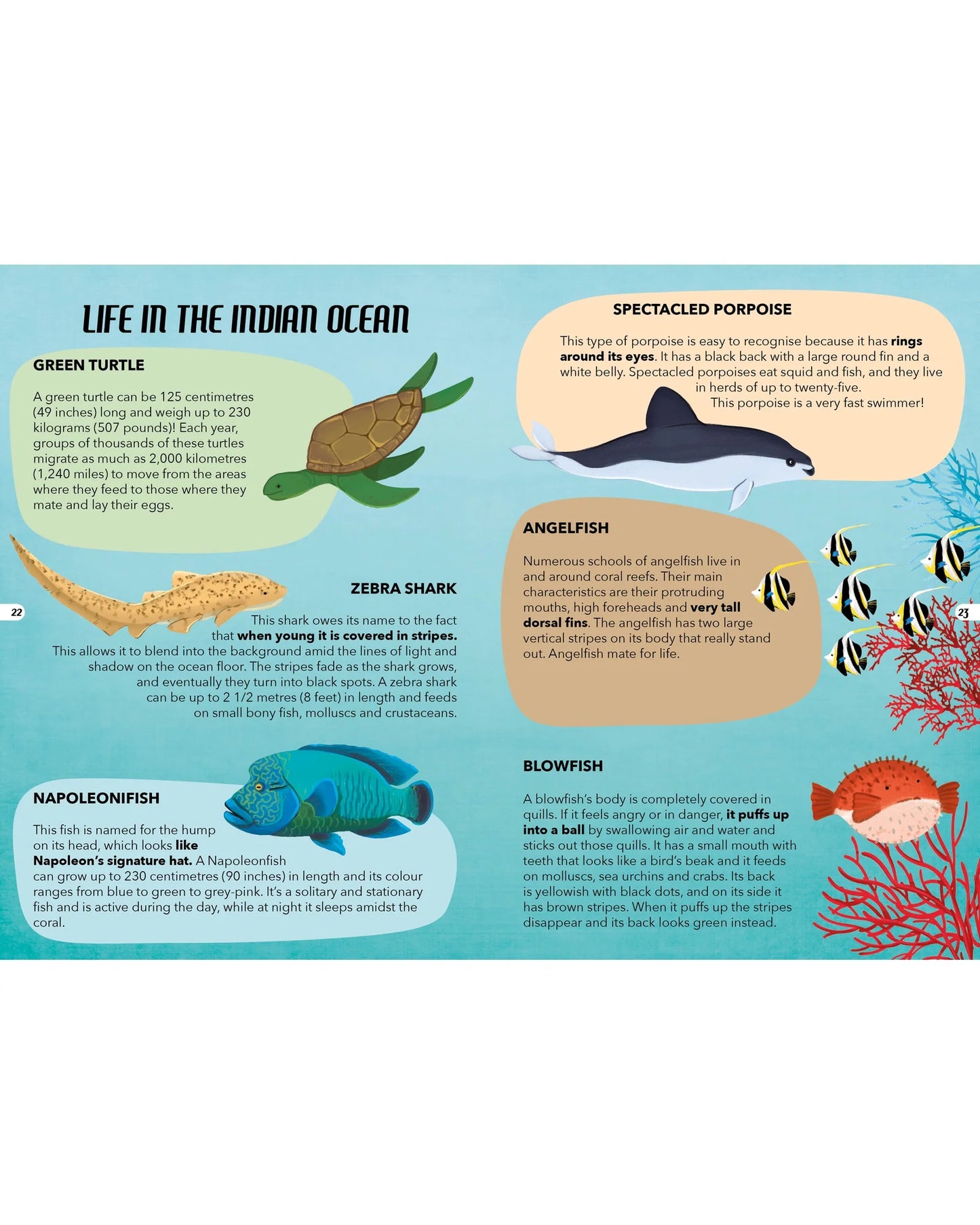 Sassi Travel, Learn and Explore - Puzzle and Book Set - The Sea