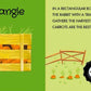 Sassi 3D Puzzle and Book Set - Learn Shapes with Vehicles
