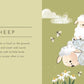 Sassi - Touch and Feel Animals Book