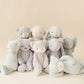 Snuggle Bunnies - Elsie The Kitty | Willow (30cm)