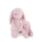 Snuggle Bunnies - Penelope The Bunny | Powder Pink (20cm)