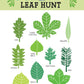 Tender Leaf Forest Trail Kit