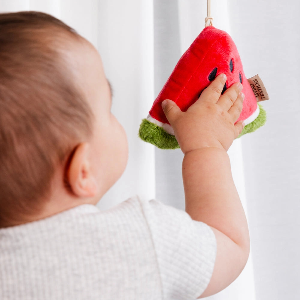 Living Textiles - 2 Pack Mini Market Brunch Stroller Toys | Watermelon & Blueberry