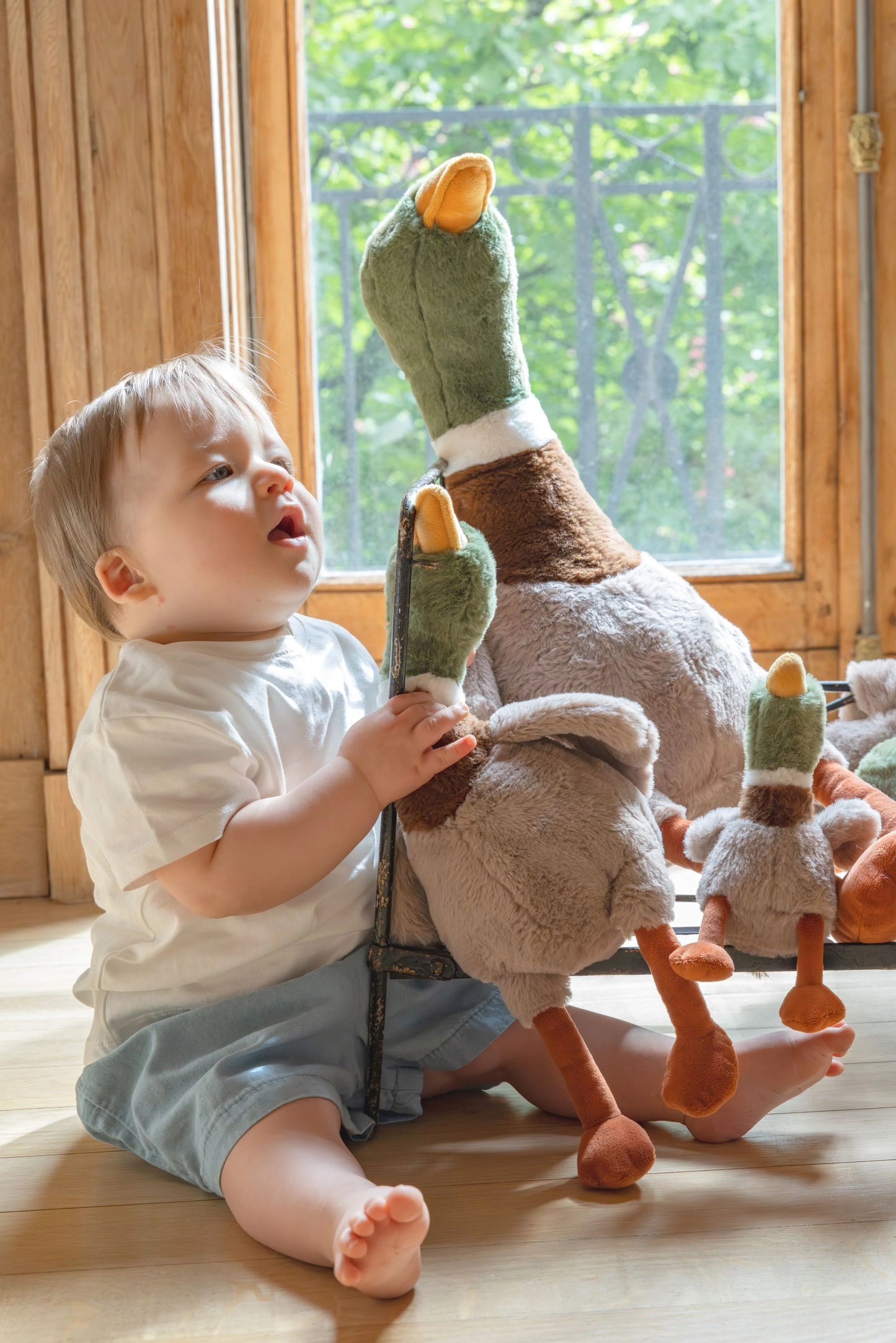 Nana Huchy - Big Hugo the Mallard Duck