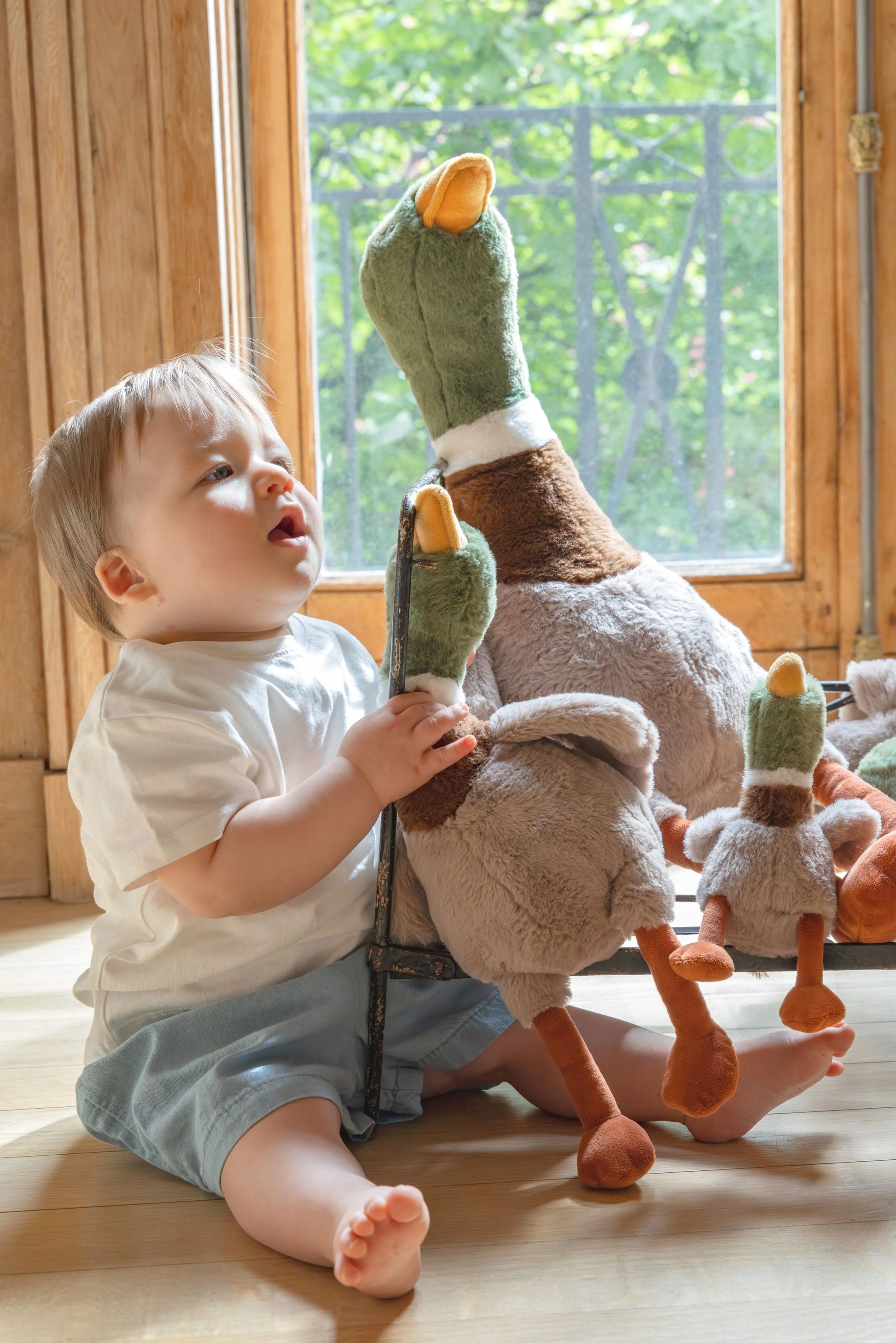 Nana Huchy - Big Hugo the Mallard Duck