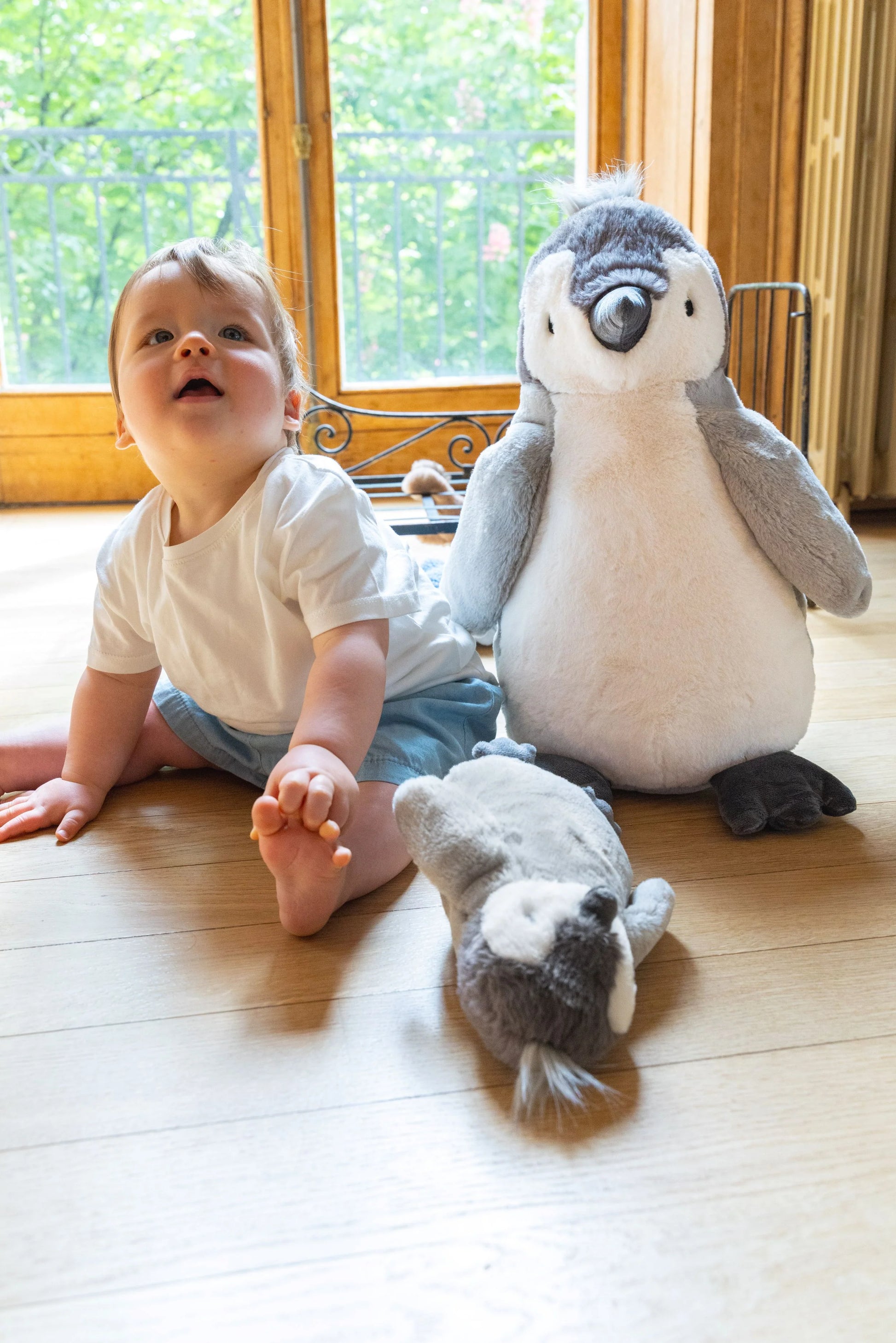 Nana Huchy - Paulo the Penguin | Big