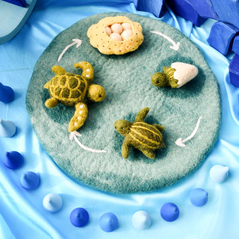 Tara Treasures - Lifecycle of a Green Sea Turtle Felt Toy