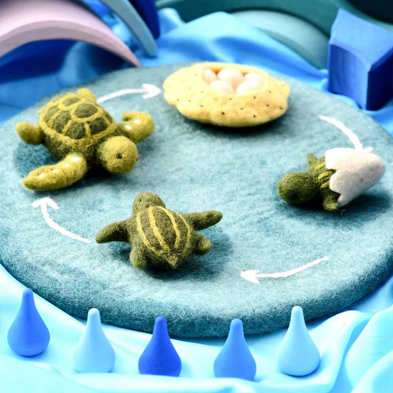 Tara Treasures - Lifecycle of a Green Sea Turtle Felt Toy