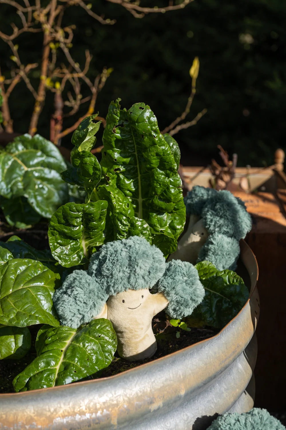 Nana Huchy - Bo Broccoli | The Green Friend