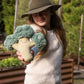 Nana Huchy - Bo Broccoli | The Green Friend