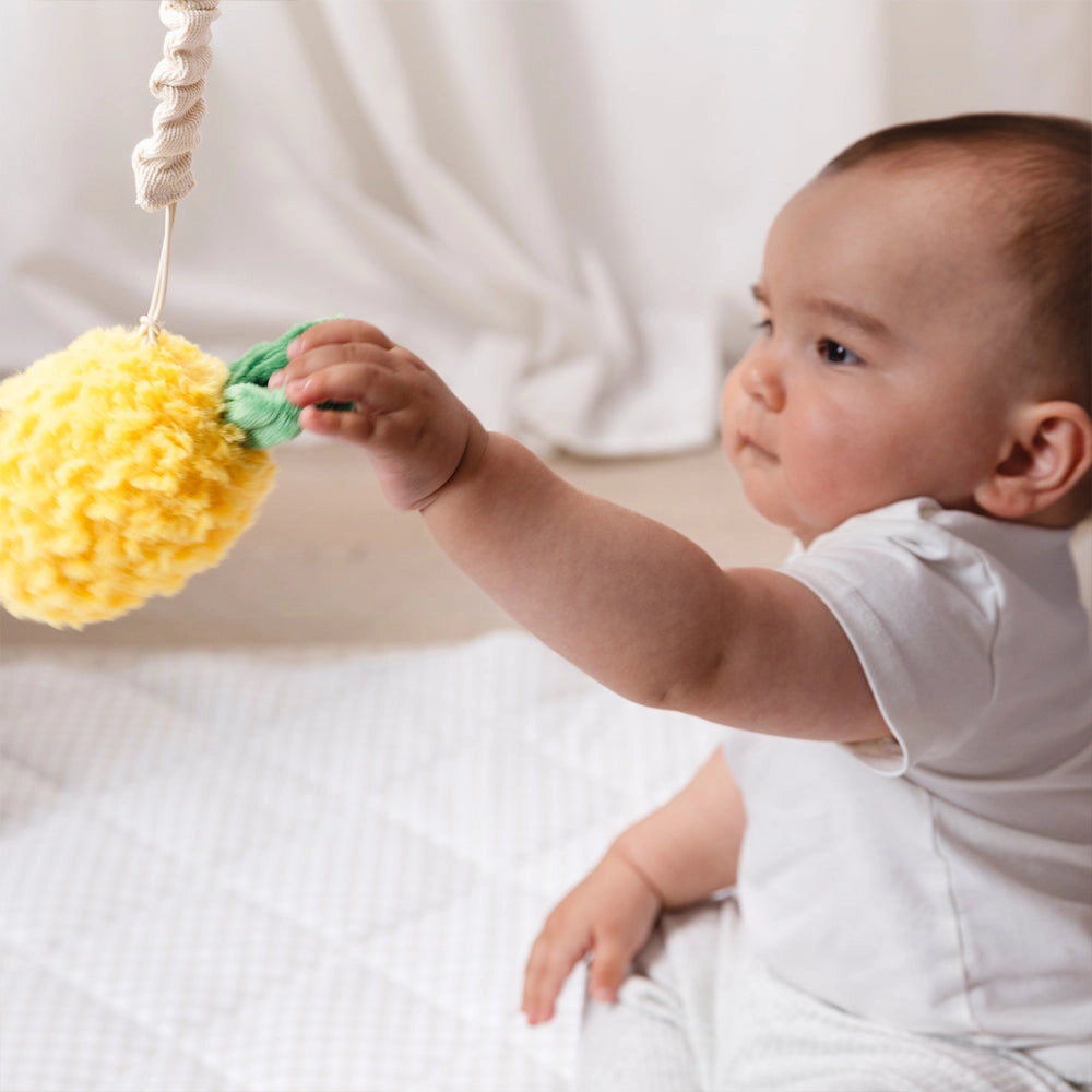 Living Textiles - 2 Pack Mini Market Brunch Stroller Toys | Pineapple & Cherries