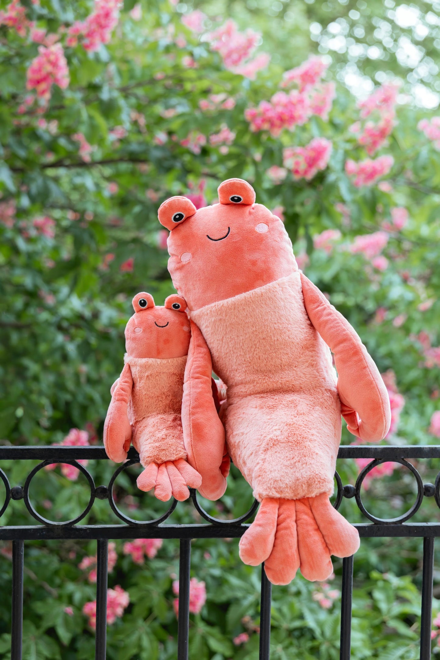 Nana Huchy - Craig the Crayfish
